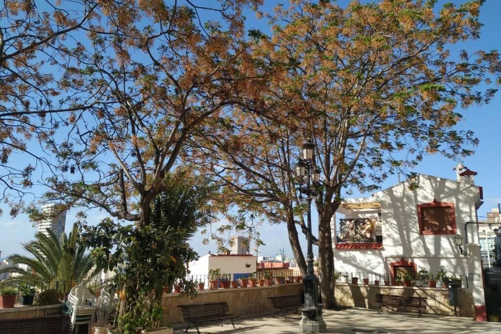 San Antonio Villa Alicante Ngoại thất bức ảnh